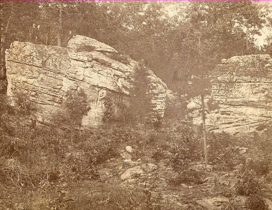 [Nathan Houston Farm]