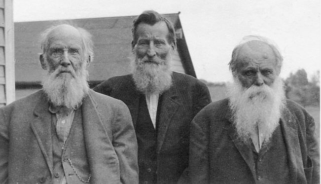 [Confederate Veterans]